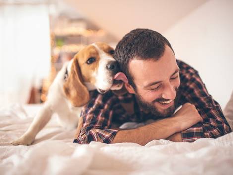 Haustiere, Mietwohnung, Hund, Foto: AlexandarNakic/iStock