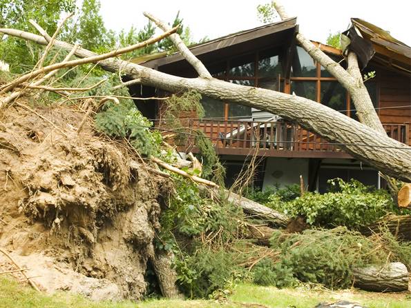 Gebäudeversicherung, Baum ist auf Hausdach gestürzt, Foto: iStock/AlpamayoPhoto